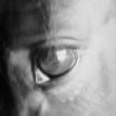 Ludky Eyes the Cell Phone