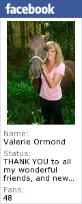 Believing In Horses Facebook Author Page